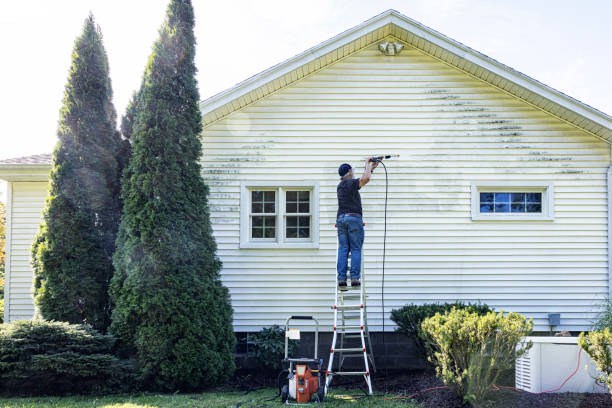 Best Affordable Pressure Washing  in Akron, NY